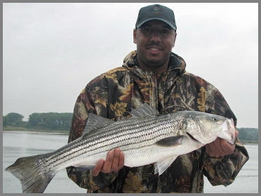 Boston Harbor charter fishing