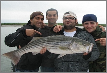 Boston Harbor charter fishing