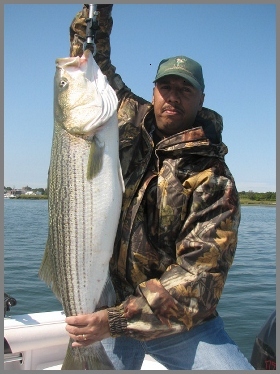 Boston striped bass charter fishing