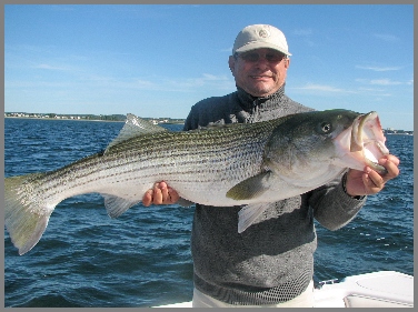 Boston Harbor charter fishing