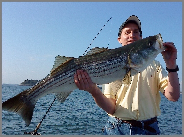 Boston Harbor charter fishing
