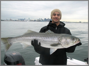 Boston fishing charters